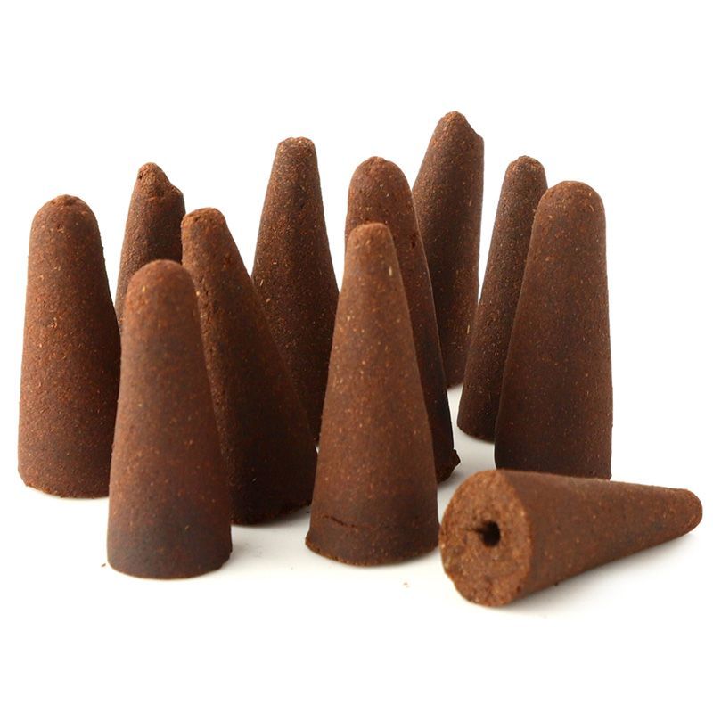 The Monastic Flow Backflow Incense Ensemble- Apple & Cinnamon