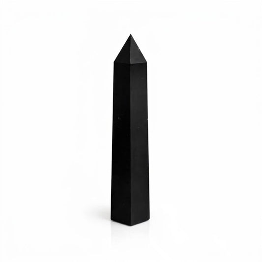The Midnight Shield Tourmaline Monolith