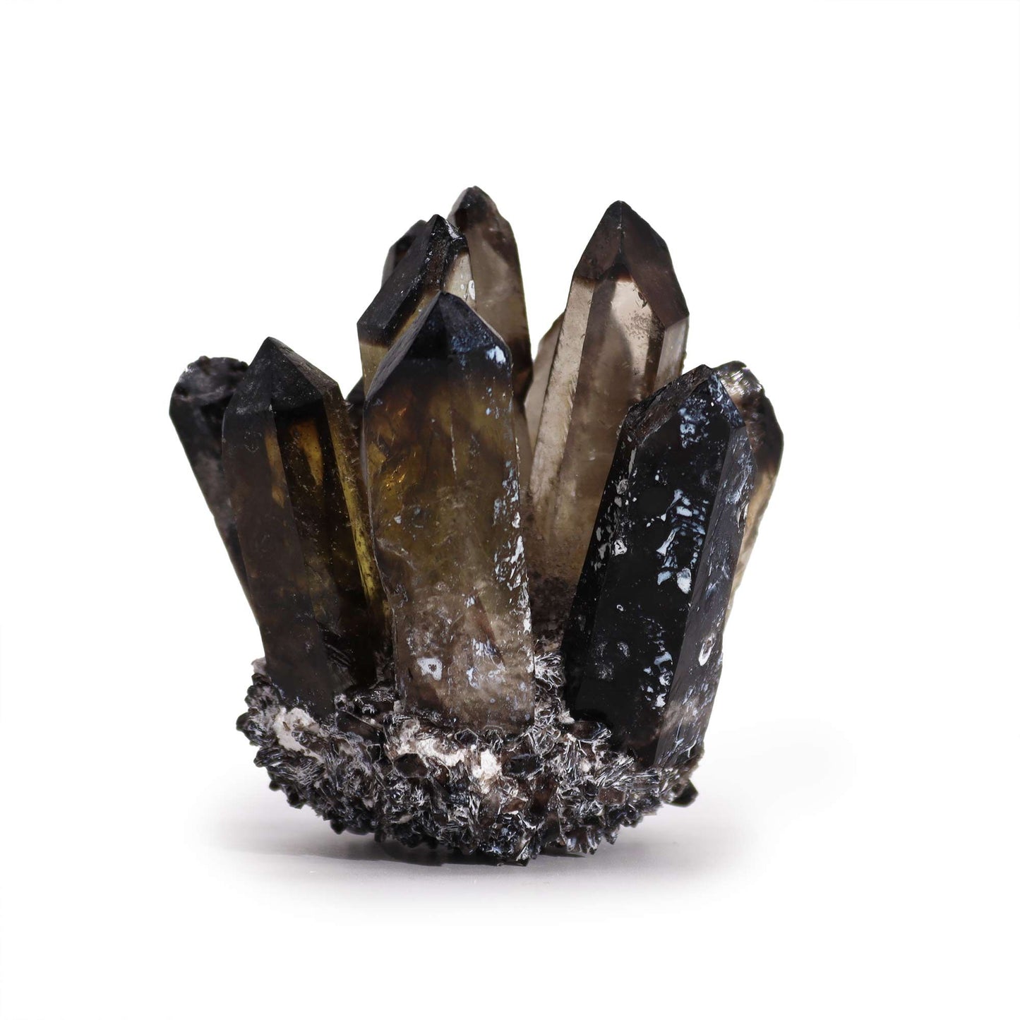 The Primal Grotto Volcanic Cluster