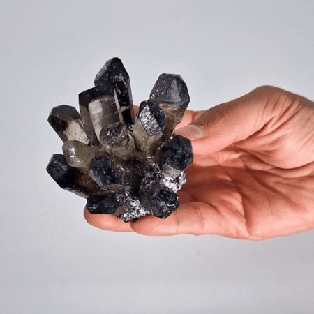 The Primal Grotto Volcanic Cluster