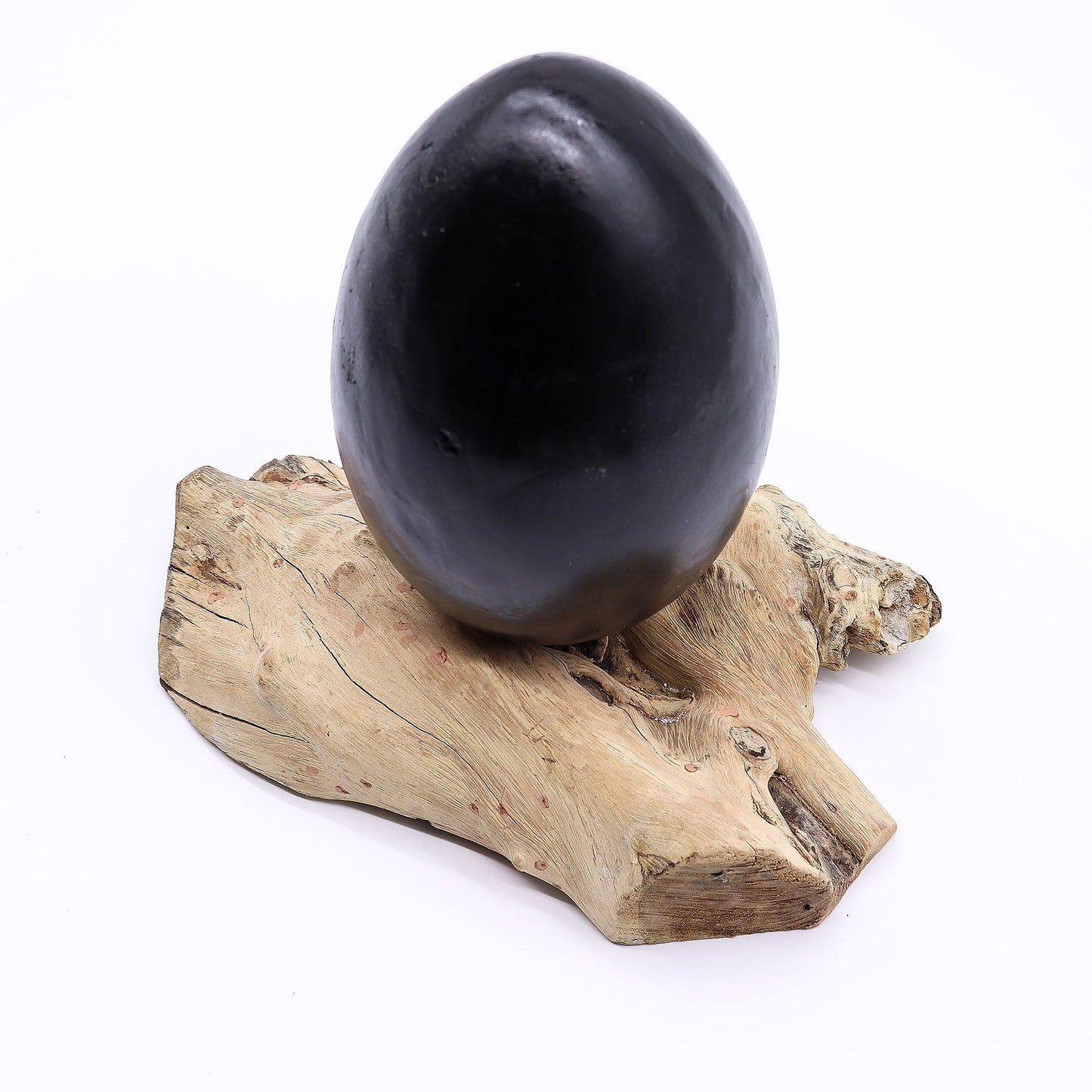 The Cosmic Egg Obsidian Sanctuary Lamp